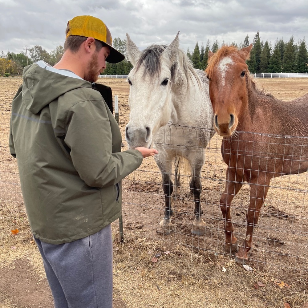 Meet your Posher, Tyson